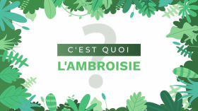 Vignette de la vidéo