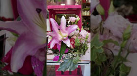 Vignette de la vidéo