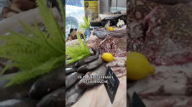 Vignette de la vidéo