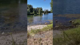 Vignette de la vidéo